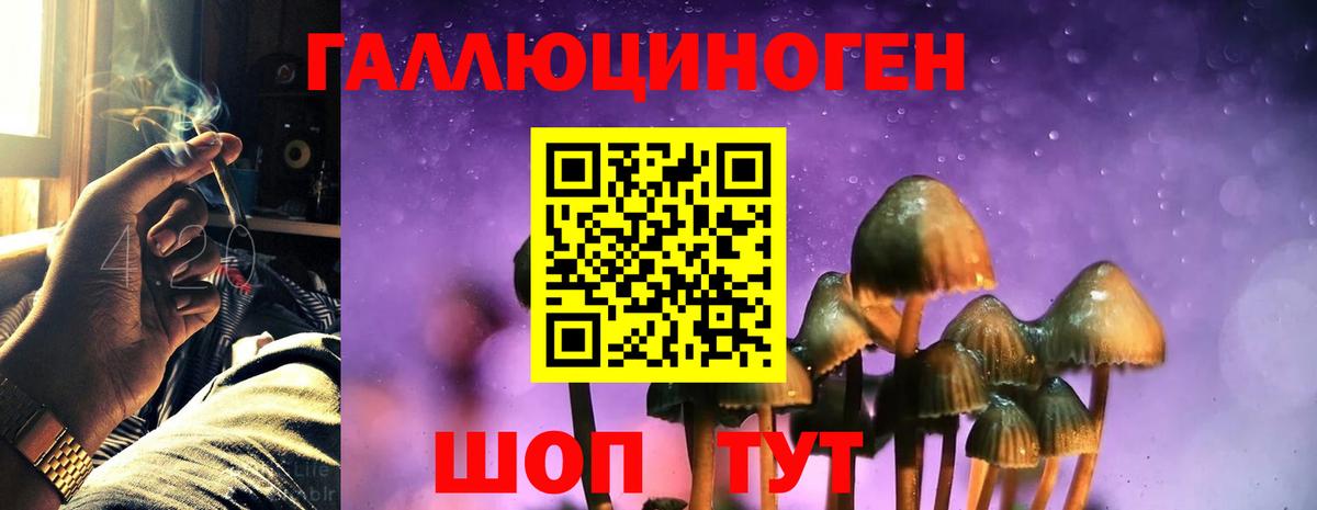 Галлюциногенные грибы MAGIC MUSHROOMS  Вход с VPN  Сунжа 